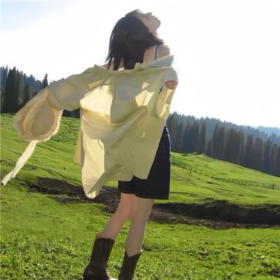 年度鸟事